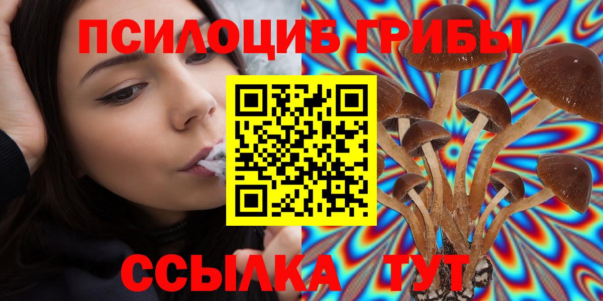 Орехово-Зуево  Псилоцибиновые грибы GOLDEN TEACHER  Вход с VPN 