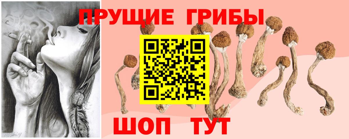 Галлюциногенные грибы Cubensis Орехово-Зуево